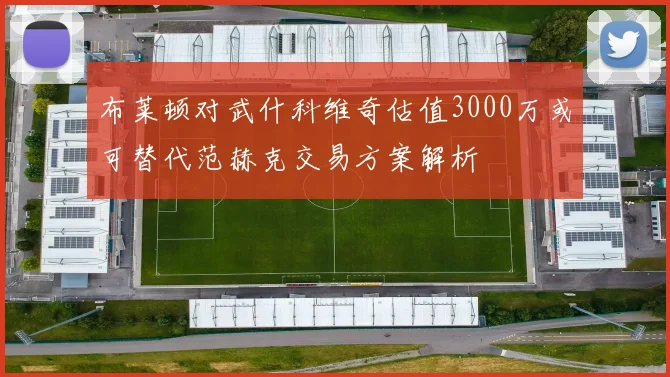 布莱顿对武什科维奇估值3000万或可替代范赫克交易方案解析